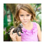 Safari Ltd. Komodo Dragon Figurine - Realistic 11 Model Figure - Educational Toy for Boys, Girls, and Kids Ages 3+