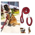 thumbnail image 1 of Correa y Collar Trenzados para Perros Grandes Amigos Peludos, Color Bitono, 1 Juego, 1 of 6