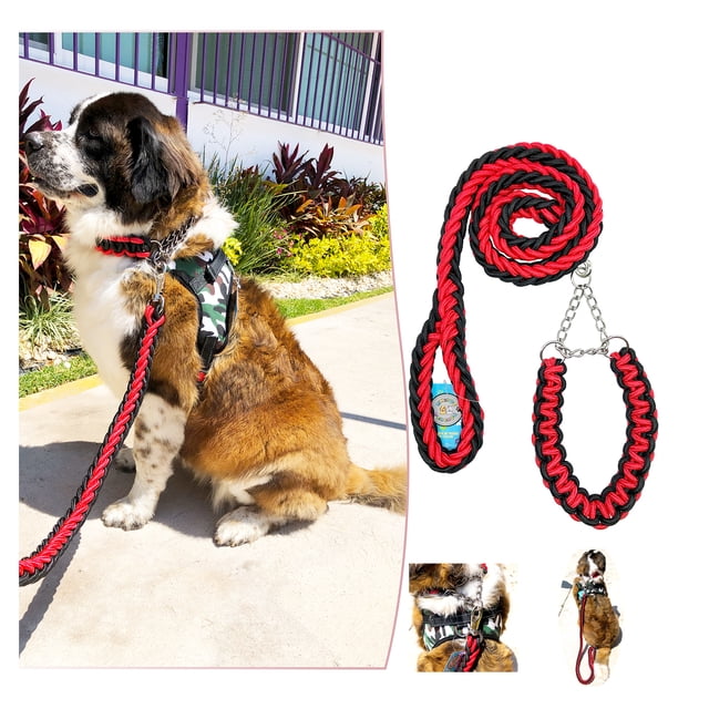 Correa y Collar Trenzados para Perros Grandes Amigos Peludos, Color Bitono, 1 Juego