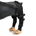 thumbnail image 4 of Double Back Leg Protection Dog Knee Brace for Acl Knee Brace Dislocation Arthritis Keep Joint Warm Extra Support Black (L), 4 of 5
