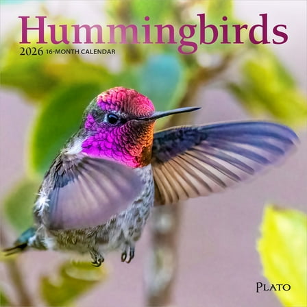 Hummingbirds | 2026 7x14" (Hanging) Monthly Mini Wall Calendar | Plato