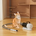 thumbnail image 6 of 5 In 1 Pet Grooming Kit Vacuum Suction Professional Pet Hair Clipper,1.5L Grooming Tools for Dogs Cats Pets,Dog Vacuum Brush for Shedding Grooming, 6 of 9