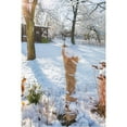 thumbnail image 2 of Natural Burlap Winter Wrap 36" x 24', 2 of 7
