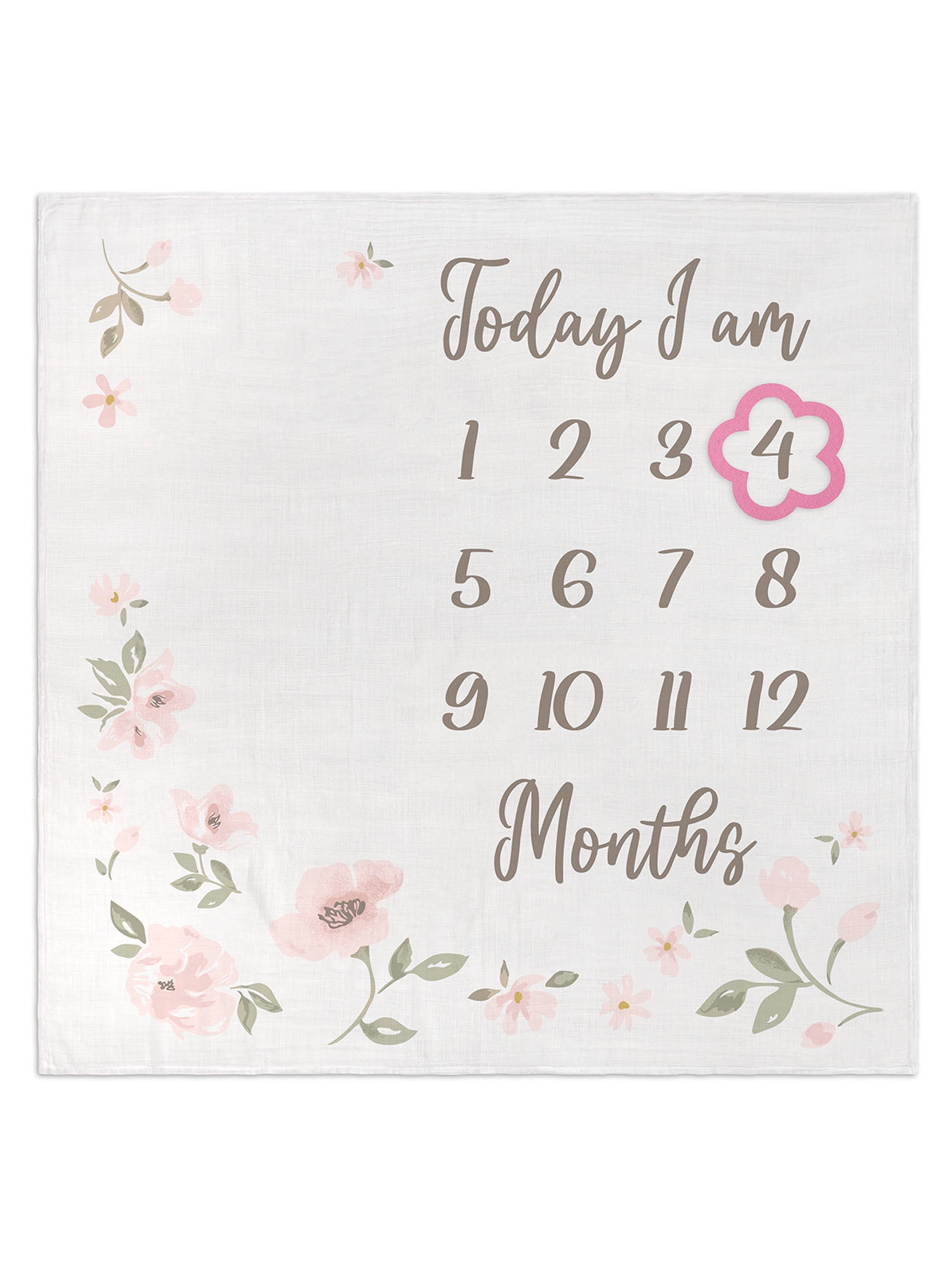 Modern Moments By Gerber Baby Girl Milestone Blanket & Frame Set, 2-Piece, Pink