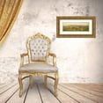 thumbnail image 3 of Melious, Amy 24x11 Gold Ornate Wood Framed with Double Matting Museum Art Print Titled - Wildflower Field II, 3 of 4