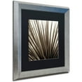 thumbnail image 2 of Trademark Fine Art "Florison 48" Canvas Art by Alan Blaustein, Black Matte, Silver Frame, 2 of 4