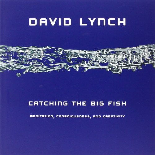 Pre-Owned Catching the Big Fish: Meditation, Consciousness, and Creativity (Paperback) 1585426121 9781585426126