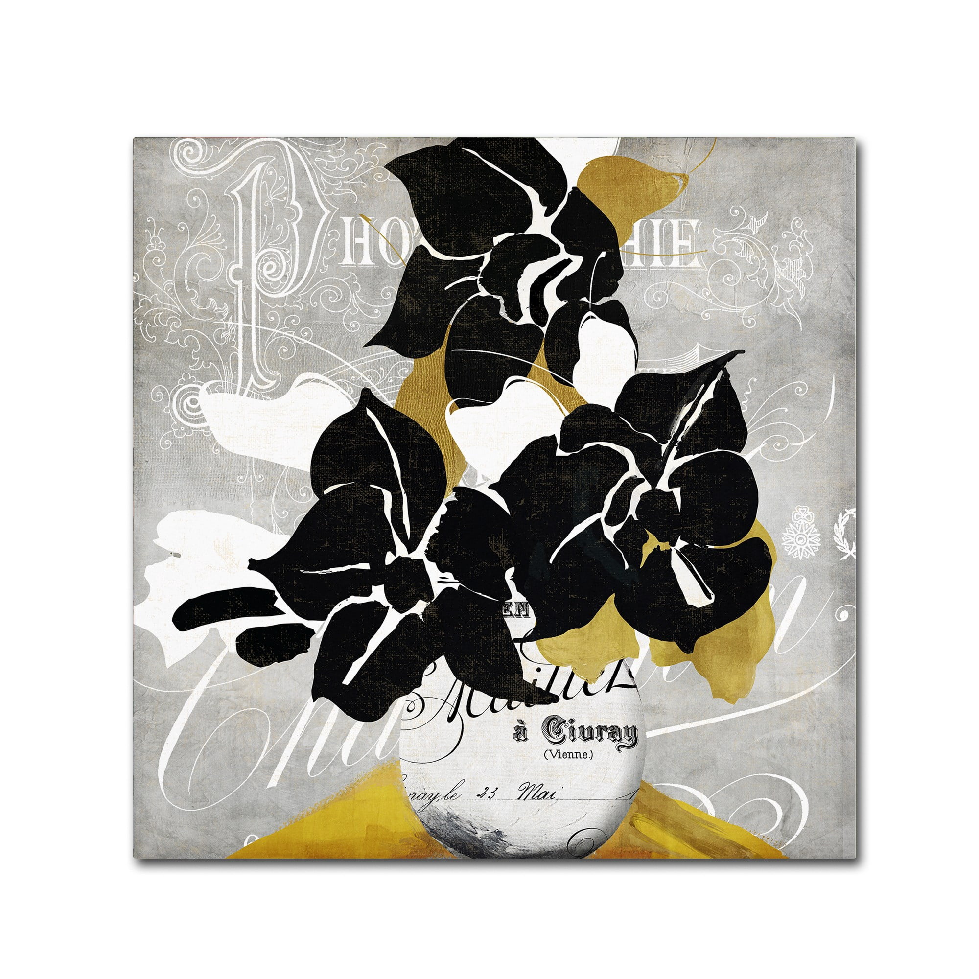 Trademark Fine Art "Georgette I" Canvas Art by Color Bakery