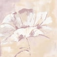 thumbnail image 3 of May 12x12 Black Modern Framed Museum Art Print Titled - Blush Beauty Florenti, 3 of 5