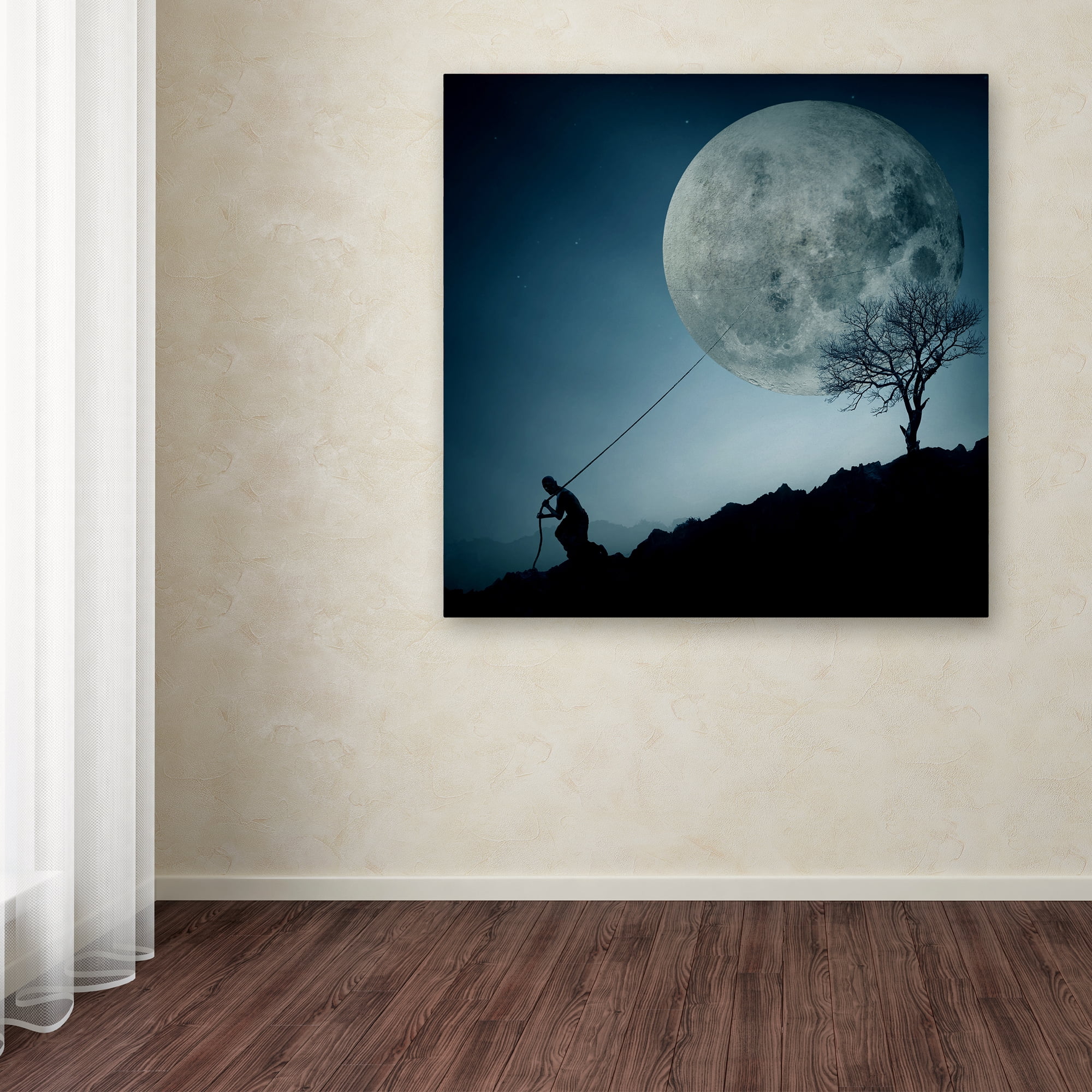 Trademark Fine Art 'The Dreamer' Canvas Art by Final Toto