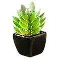 thumbnail image 1 of Naiovety Plantas en maceta de cerámica negra suculentas verdes artificiales, decoración de de bonsái de flores, decoración de jardín de Type2 NO2, 1 of 6