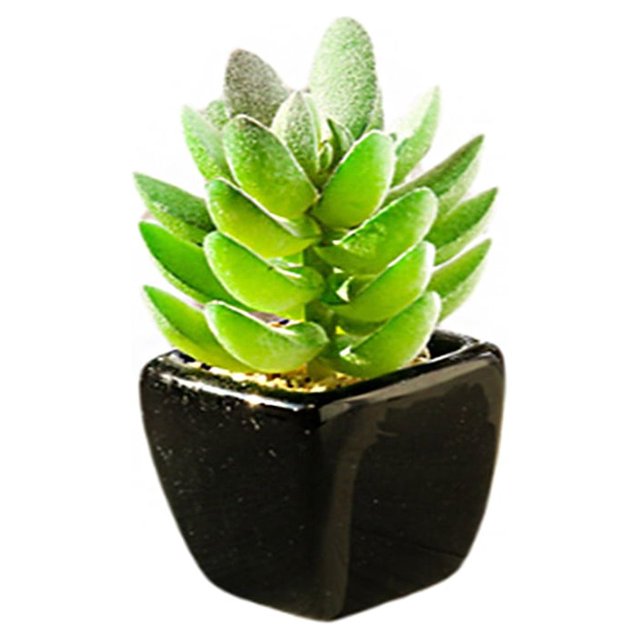Naiovety Plantas en maceta de cerámica negra suculentas verdes artificiales, decoración de de bonsái de flores, decoración de jardín de Type2 NO2