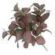 thumbnail image 4 of Injueey 5 ramas de plantas artificiales, vides, colgante de pared, simulación de hojas de ratán, ramas, planta verde, hoja de hiedra, Plantas Artificiales, 4 of 6