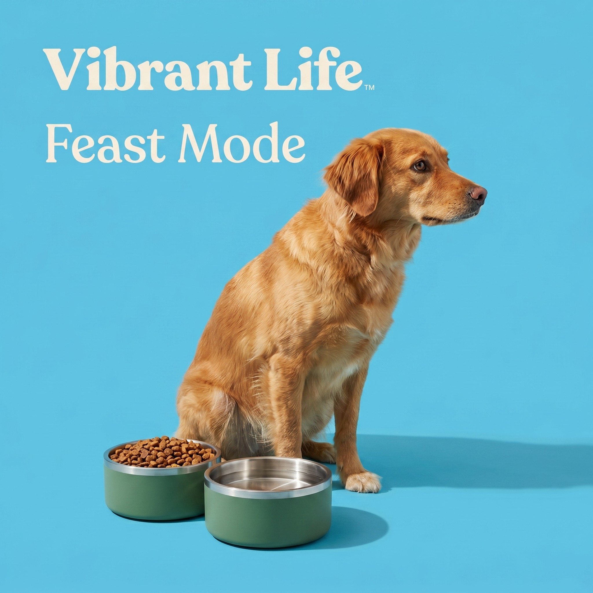 Vibrant Life Stainless Steel Double Wall Pet Bowl, 7.5 Cup, Sage photo 4
