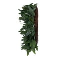 thumbnail image 3 of Vickerman 24" Artificial Green Seeded Willow Eucalyptus  Wreath, 3 of 5