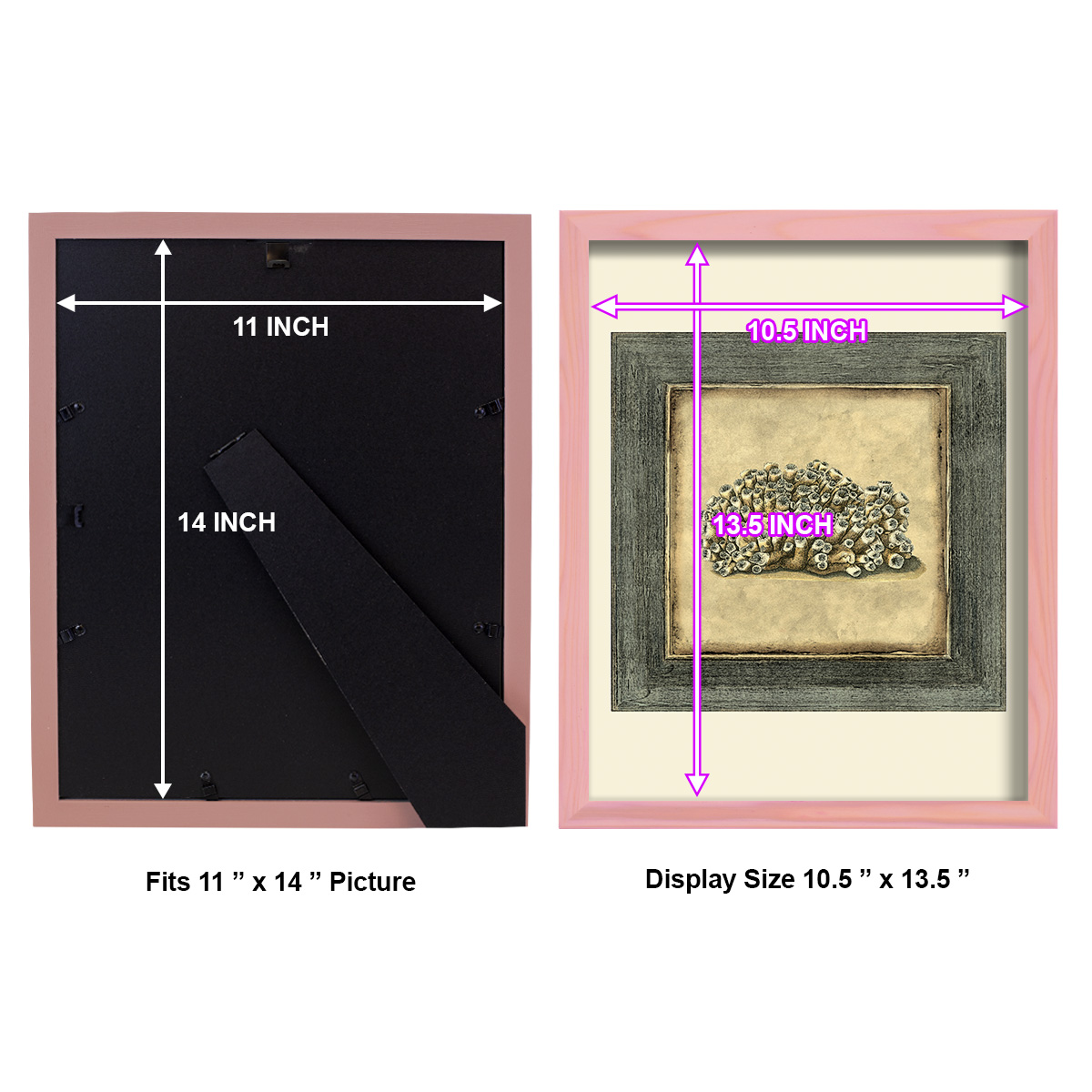 Mini Exotic Coral I (U) - Framed Print w/glass - Sunset Pink