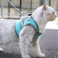 thumbnail image 3 of Correa para gatos, para caminar y escapar, correa ajustable para chaleco para gatos, 3 of 5