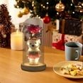 thumbnail image 5 of RBCKVXZ Preserved Rose Teddy Bear Night Light - 6" Glass Dome LED Lamp with Wood Base, Battery Operated Gift for Valentine's Day/Birthday/Anniversary, 5 of 9