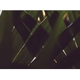 thumbnail image 2 of Mossholder, Tim 32x25 Black Ornate Wood Framed with Double Matting Museum Art Print Titled - Untitled, 2 of 4