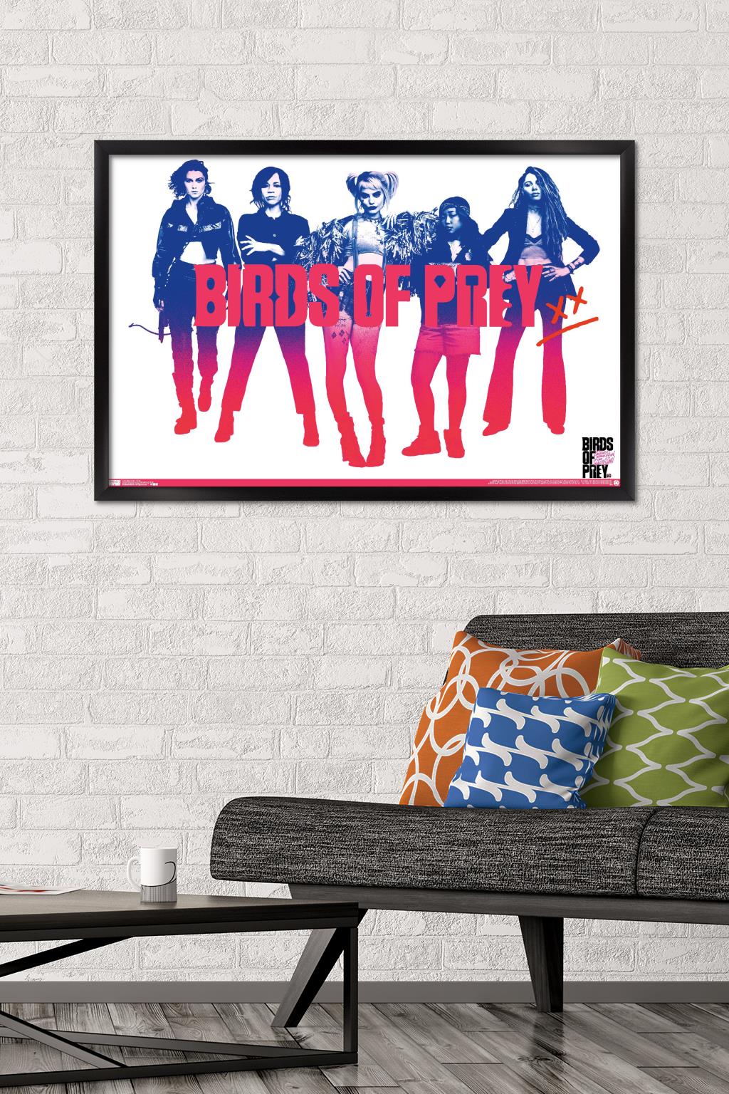 DC Comics Movie - Birds of Prey - Group Wall Poster, 22.375" x 34", Framed