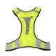 thumbnail image 3 of Chaleco de ciclismo Zulema reflectante LED de alta visibilidad Plata amarilla, 3 of 8