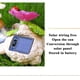 thumbnail image 4 of Decoraciones de conejito de Pascua Primavera Interior Exterior Decoración solar para el hogar Figuras de conejito Conejo de resina, 4 of 6