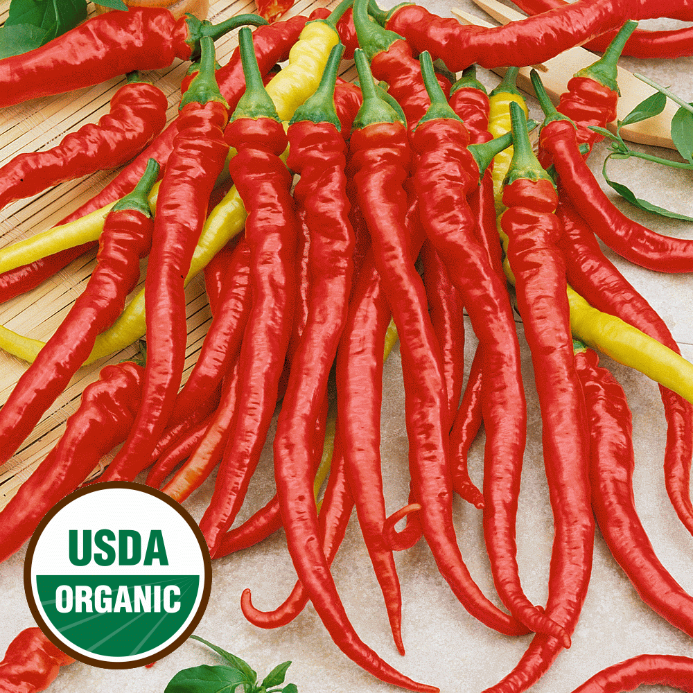 Everwilde Farms 20 Organic Sweet Cayenne Hot Pepper Seeds Gold