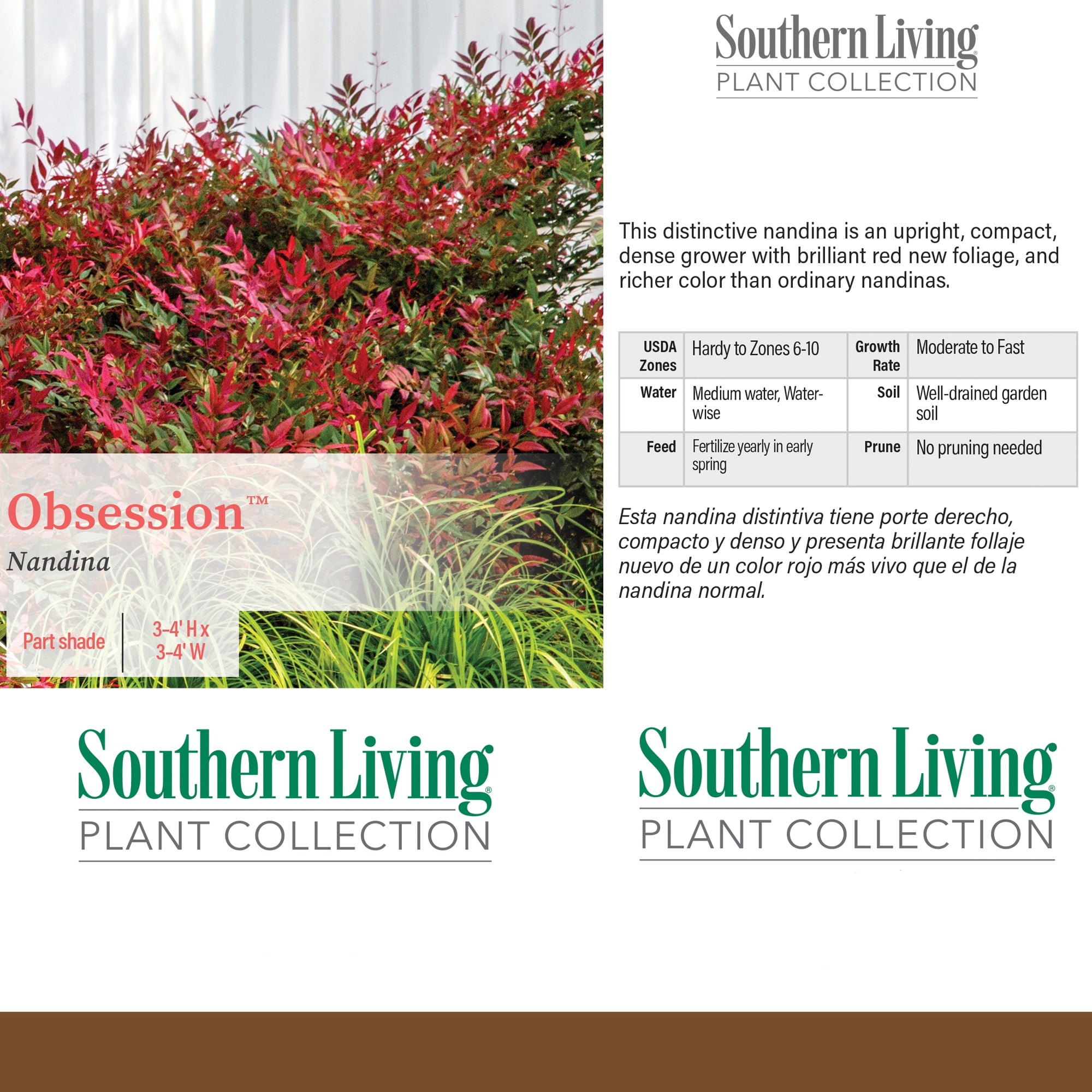 Southern Living Nandina Obsession Live Shrub in 2-Gallon Grower Pot