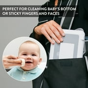 Prince Lionheart Travel Friendly Portable Baby Compact Wipe Warmer, Gray, with Car Adaptor