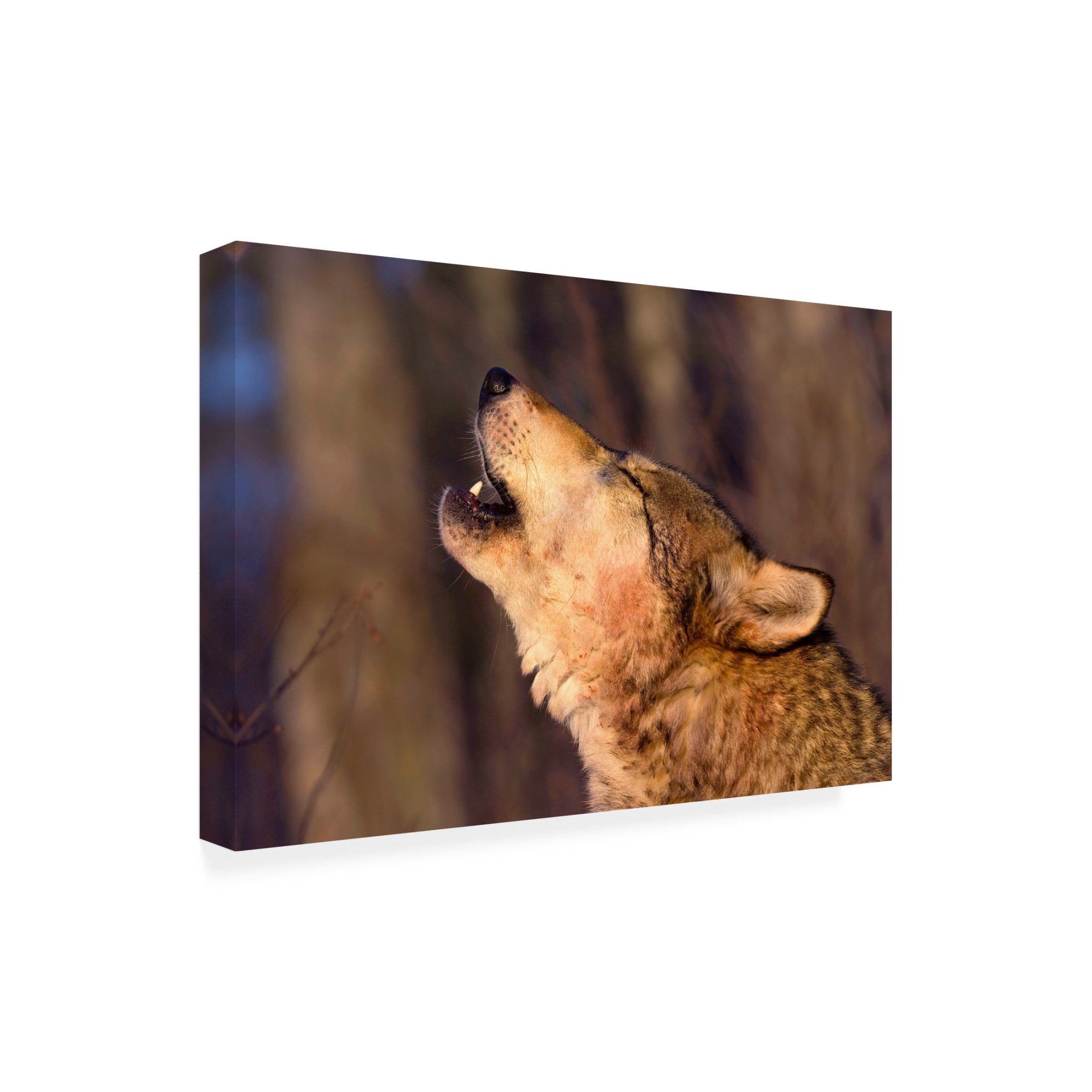 Canvas Wall Art - Lisa Dearing 'Lonesome Howl' Wall Art for Living Room, Bedroom, or Office Décor by Trademark Fine Art - 32 x 22 Inches