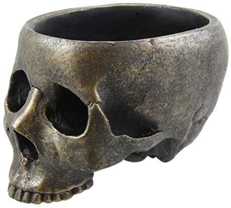 Ebros Gift Bronzed Day of The Dead Skull Bowl Figurine 7 Long Skeleton Head Gardening Planter Sculptural Vessel Treat Container Decorative Bowl 