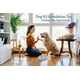 thumbnail image 5 of Juguetes educativos para perros, dispositivo de terapia interactiva, comedero lento para perros, mejora del coeficiente intelectual canino, juego de entrenamiento para perros (azul), 5 of 5
