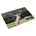 thumbnail image 3 of Print: Montgomery Zoo, Montgomery, Alabama, 2010, 3 of 4