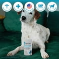 thumbnail image 6 of Stool Eating Deterrent Coprophagia Soft Chews for Dogs, 6 of 9