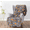 Throw Blanket4_A1, variant on Halloween Plush Throw Blanket, Velvet Soft Oversized Fall Blanket with Cute Cartoon Character Design, Cozy Warm Lightweight Blanket for Sofa, Bed and Home Seasonal Decor