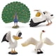 thumbnail image 1 of Juego de figuras Wildlife Bird, juguete realista de PVC para niños, 4 piezas, 1 of 3