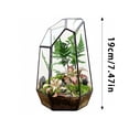 thumbnail image 4 of Outdor Geometric Glass Suitable For Small Succulents Small Cacti Black Irregular Opening Indoor Home Garden Desktop, 4 of 4