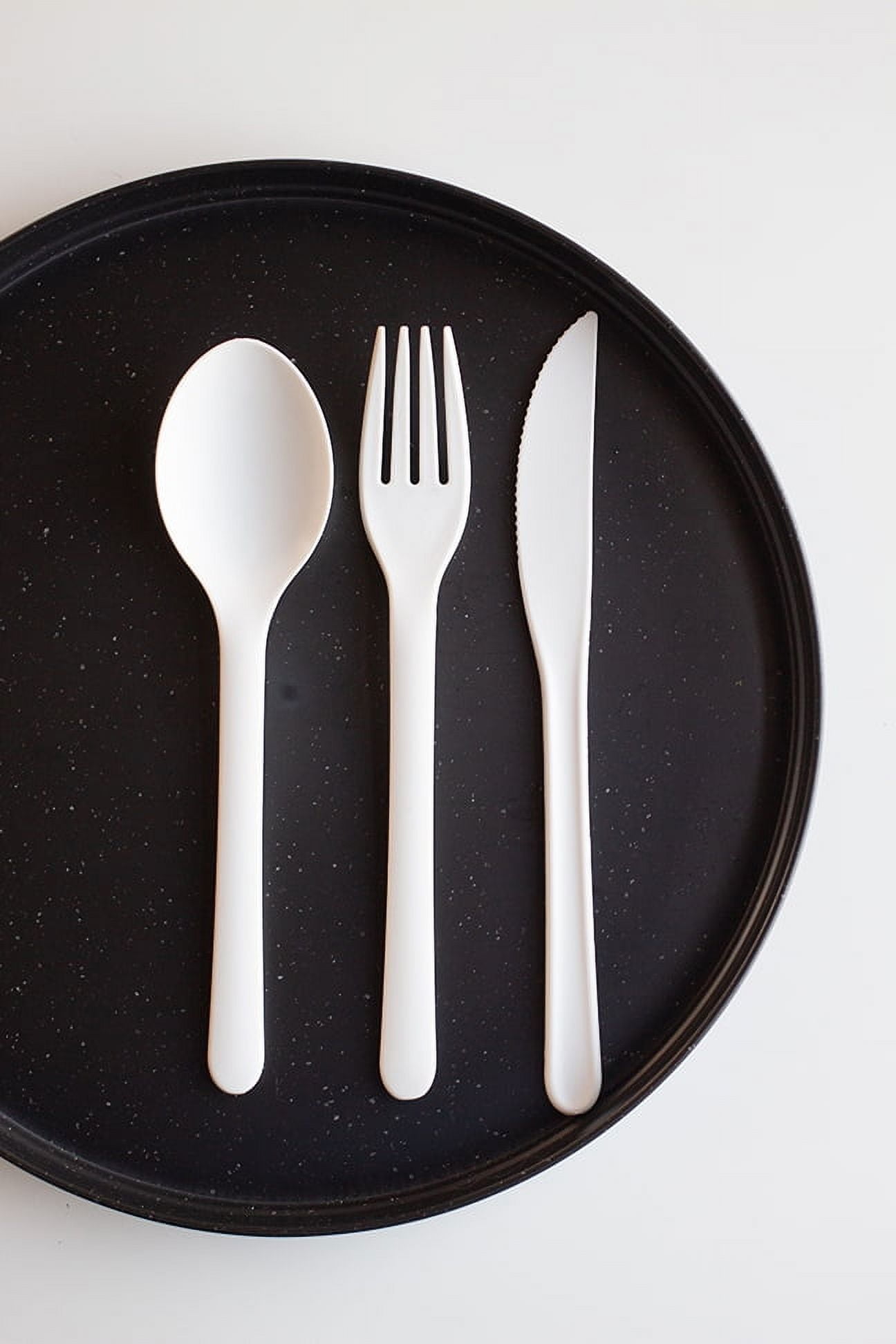 (2 pack) Mainstays 10-Inch Eco-Friendly Recycled Plastic Dinner Plate, Black