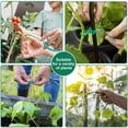 thumbnail image 5 of 100 Piezas de Bridas Ajustables para Plantas de JardíN, Bridas de JardíN Reutilizables, Bridas de JardineríA, Bridas Reutilizables para Plantas de JardíN, 5 of 5