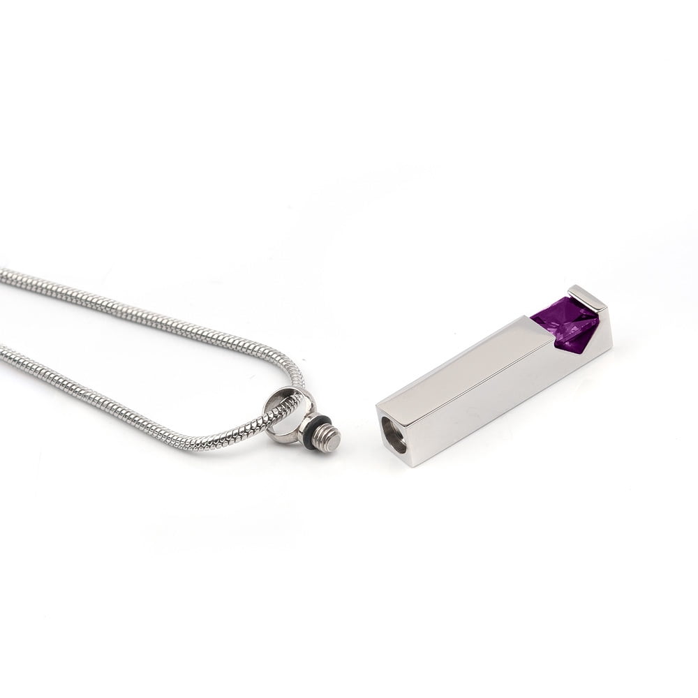 Cremation Jewelry Memorial Birthstone Bar Necklace Handcrafted Waterproof Human Ashes Urn Container with Free Funnel Kit and Velvet Jewelry Box [February]