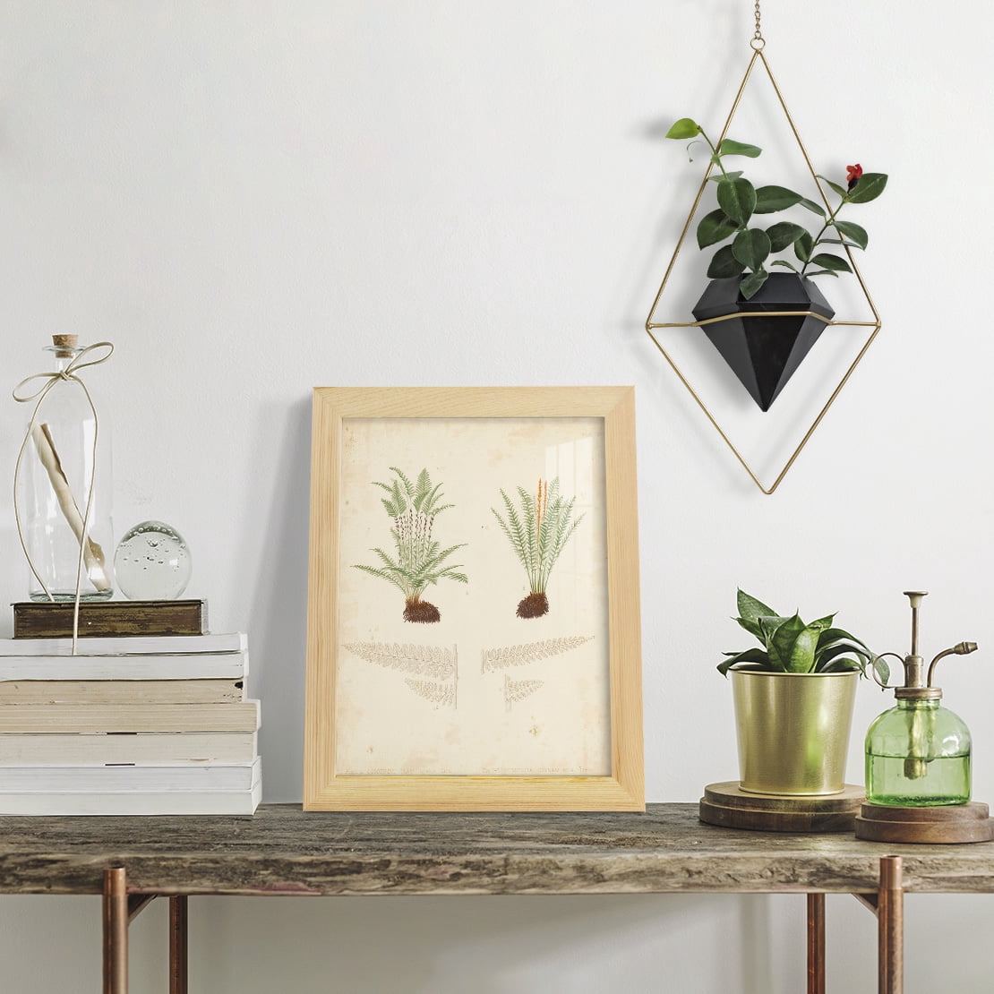 Fern Study III -Framed Print w/glass-Natural Wood
