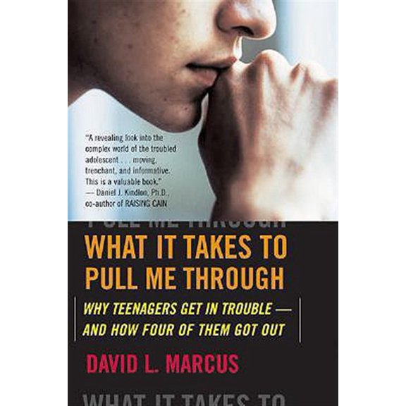 Pre-Owned What It Takes to Pull Me Through: Why Teenagers Get in Trouble and How Four of Them Got Out Paperback