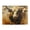 500 Pieces, variant on Charging Bull Power Strength 500-Piece Wooden Jigsaw Puzzle for Adults, Fun & Challenging Family Brain-Teaser, Perfect Home Decor & Gift