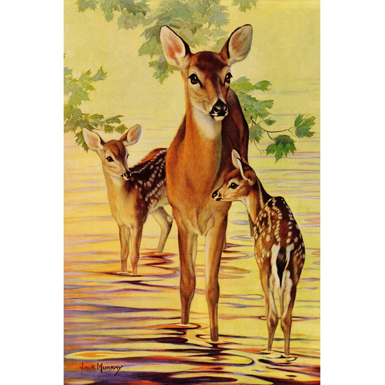 "Doe and Fawns" Painting Print on Wrapped Canvas