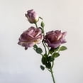 thumbnail image 6 of French Burnt Edge Artificial Rose Bouquet, Vintage Style Faux Floral Arrangement, Living Room and Dining Table Decor, Romantic Home Centerpiece Gift, 6 of 9