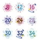 12 Pcs Month Sticker Baby Photography Milestone Memorial Monthly
