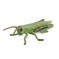 thumbnail image 1 of CNKOO Figurine d'Insecte en PVC Simulation Modèle Éducatif Jouet de Rôle pour Enfants, 1 of 10