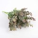 thumbnail image 3 of Inteprter Ramo de hojas de plantas artificiales de 5 ramas, decoración de plantas de plástico, hojas para fiesta de boda Plantas Artificiales gris violeta, 3 of 6
