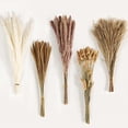 thumbnail image 1 of Decoración de hierba de pampa seca ZHAOCHENG 120 piezas arreglos florales secos para decoración de bodas fiestas y hogar estilo bohemio, 1 of 5
