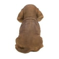 thumbnail image 4 of Brown Dachshund Sitting Statue, 4 of 5